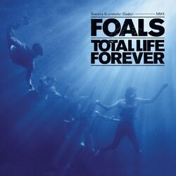 Cover of Total Life Forever