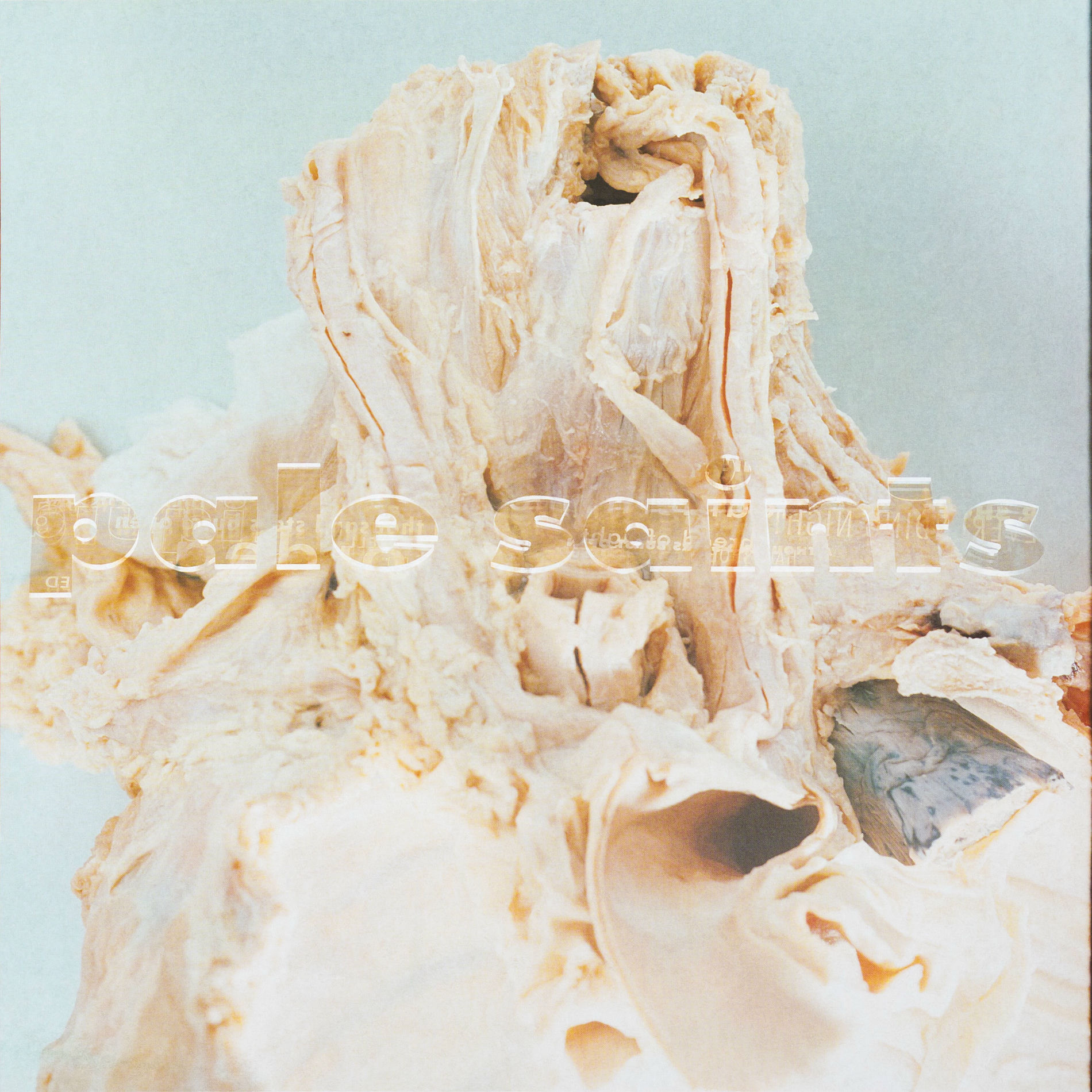 Album cover of Kinky Love
