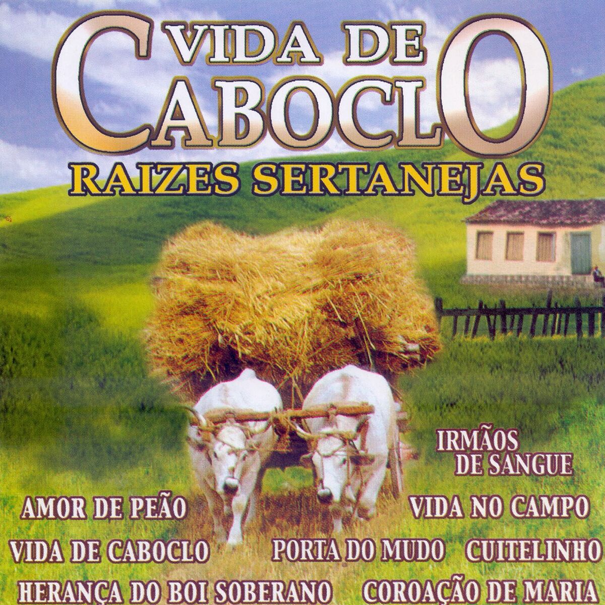 Album cover of Vida de Caboclo, Raízes Sertanejas