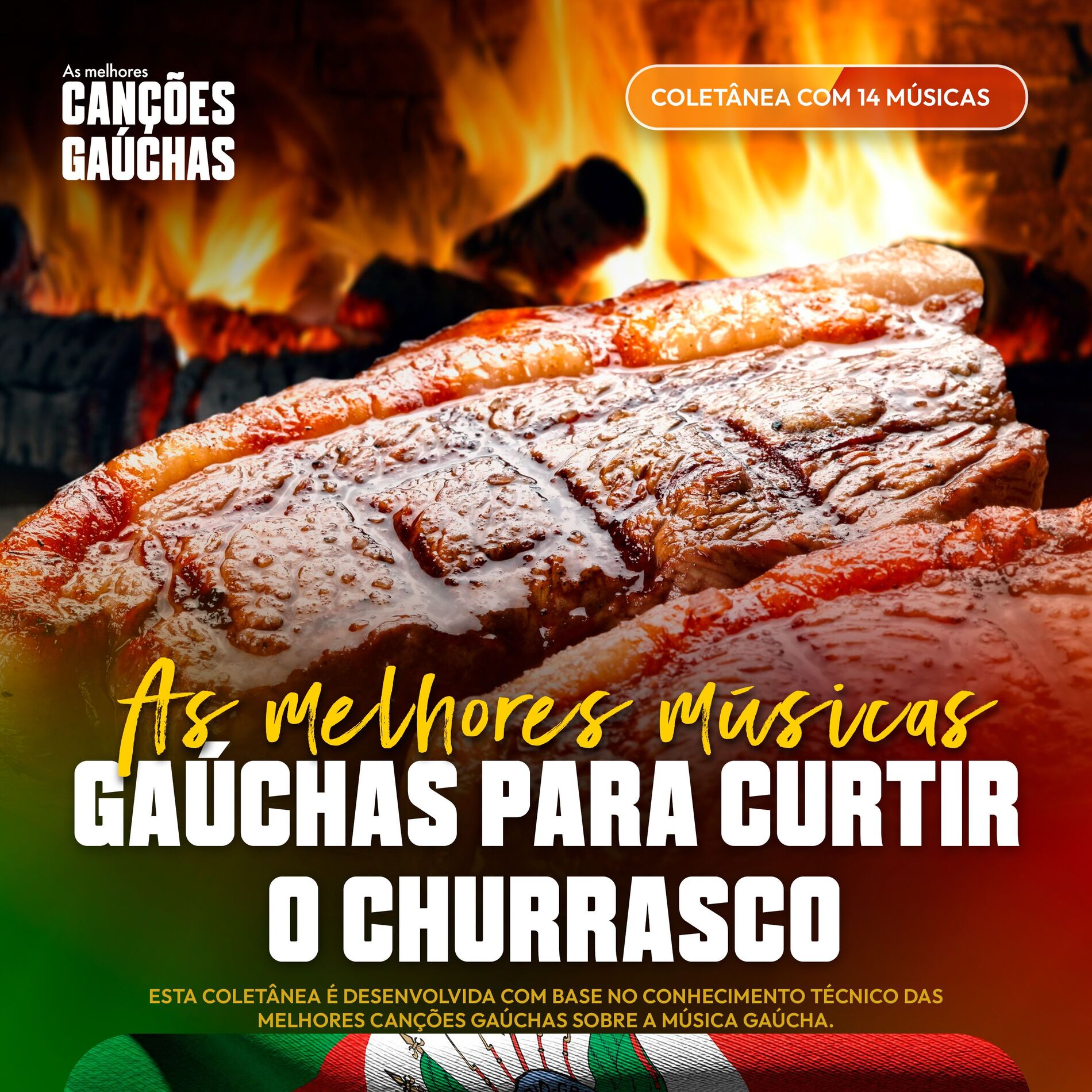 Album cover of AS MELHORES MÚSICAS GAÚCHAS PARA CURTIR O CHURRASCO