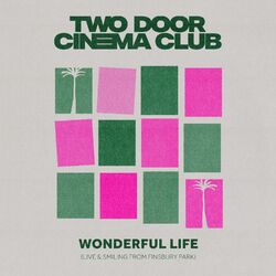 Cover of Wonderful Life (Live & Smiling From Finsbury Park)