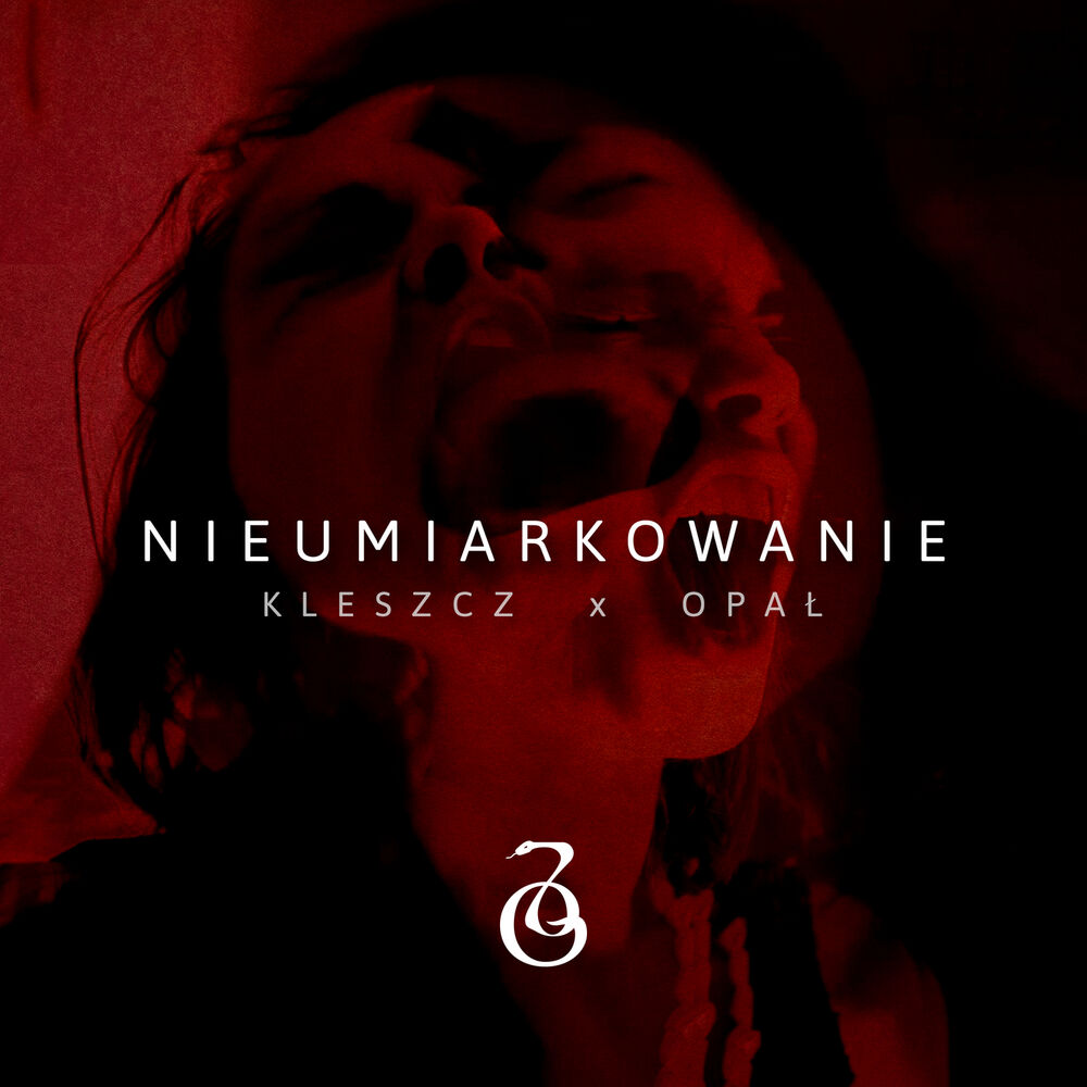 Picture of Nieumiarkowanie