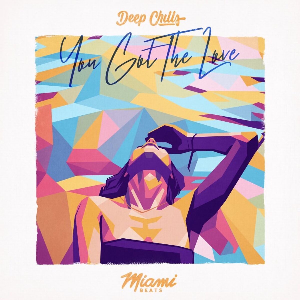 Album cover of You Got The Love