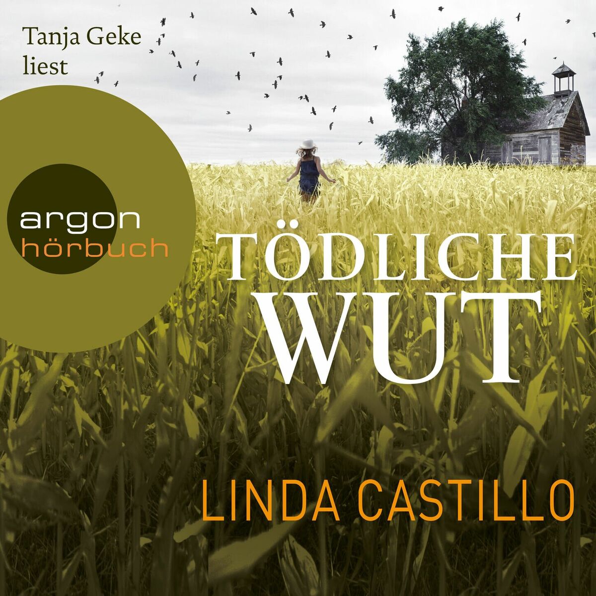 Album picture of Tödliche Wut - Kate Burkholder ermittelt, Band 4 (Gekürzte Fassung)