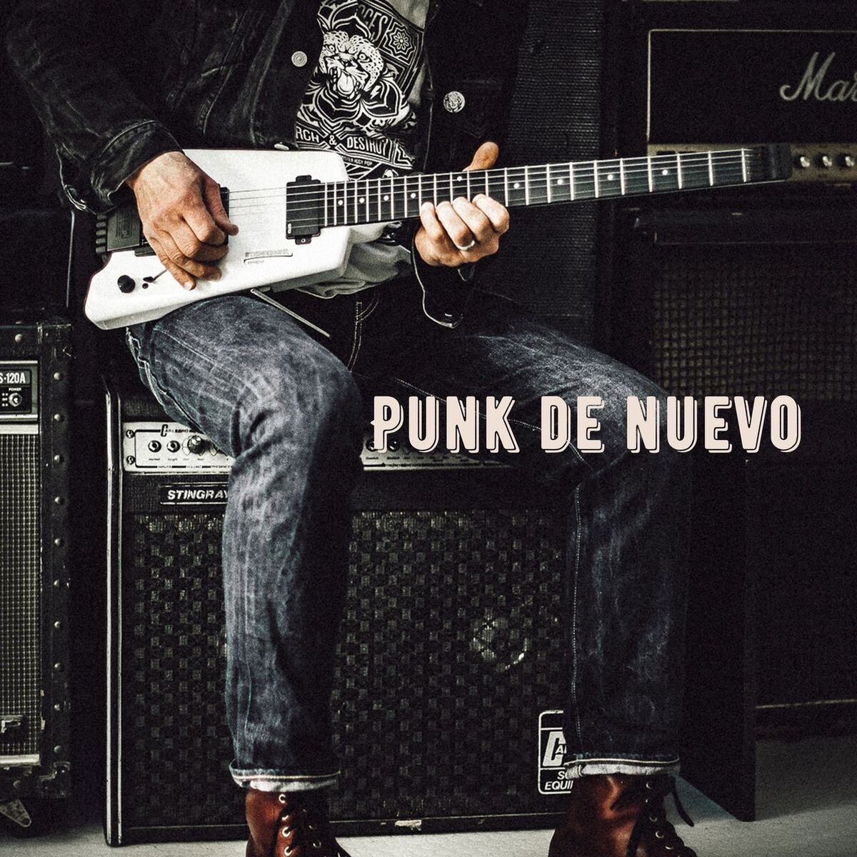 Album cover of PUNK de nuevo
