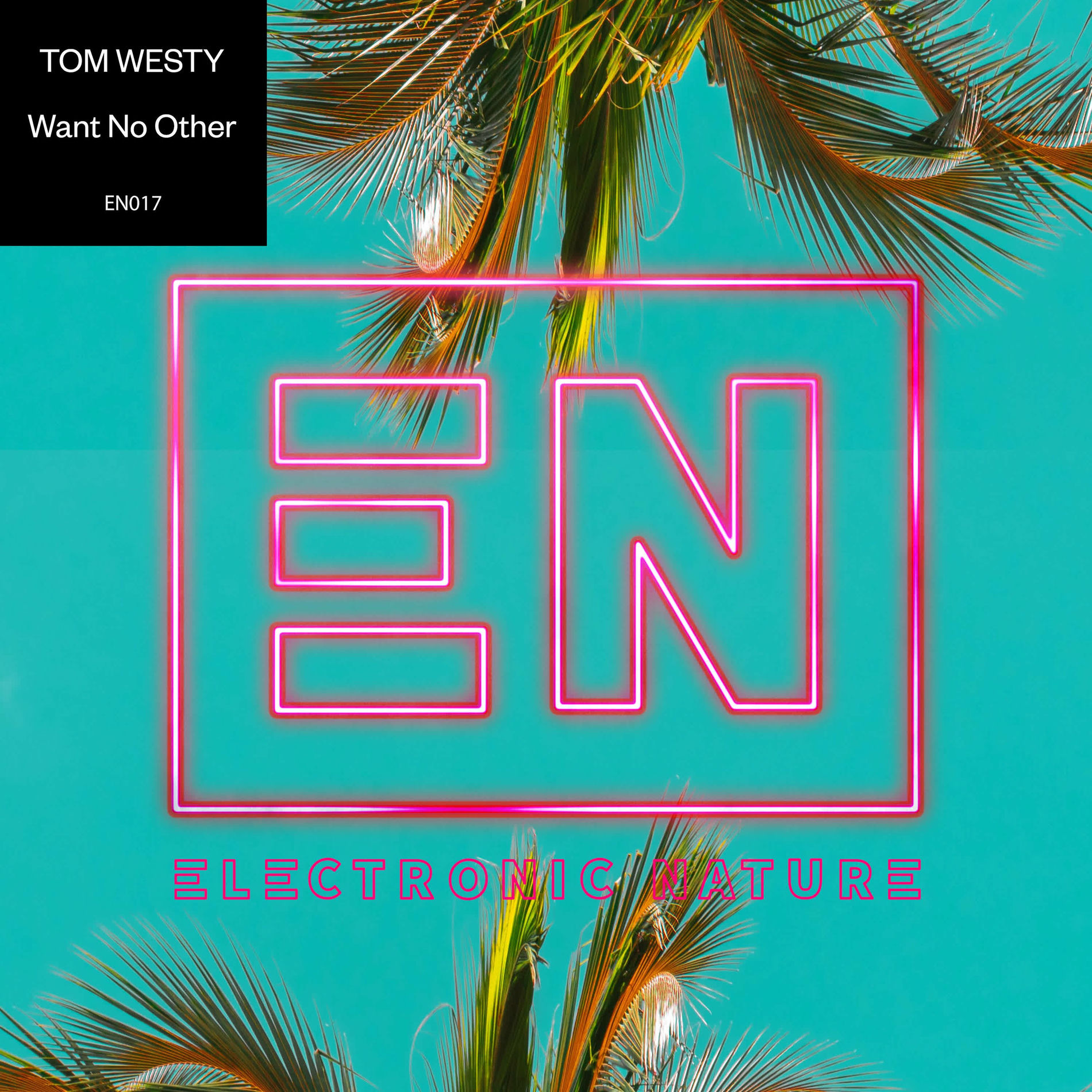 Album cover of Want No Other