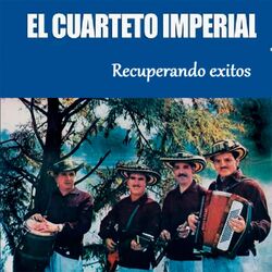Cover of Recuperando Exitos