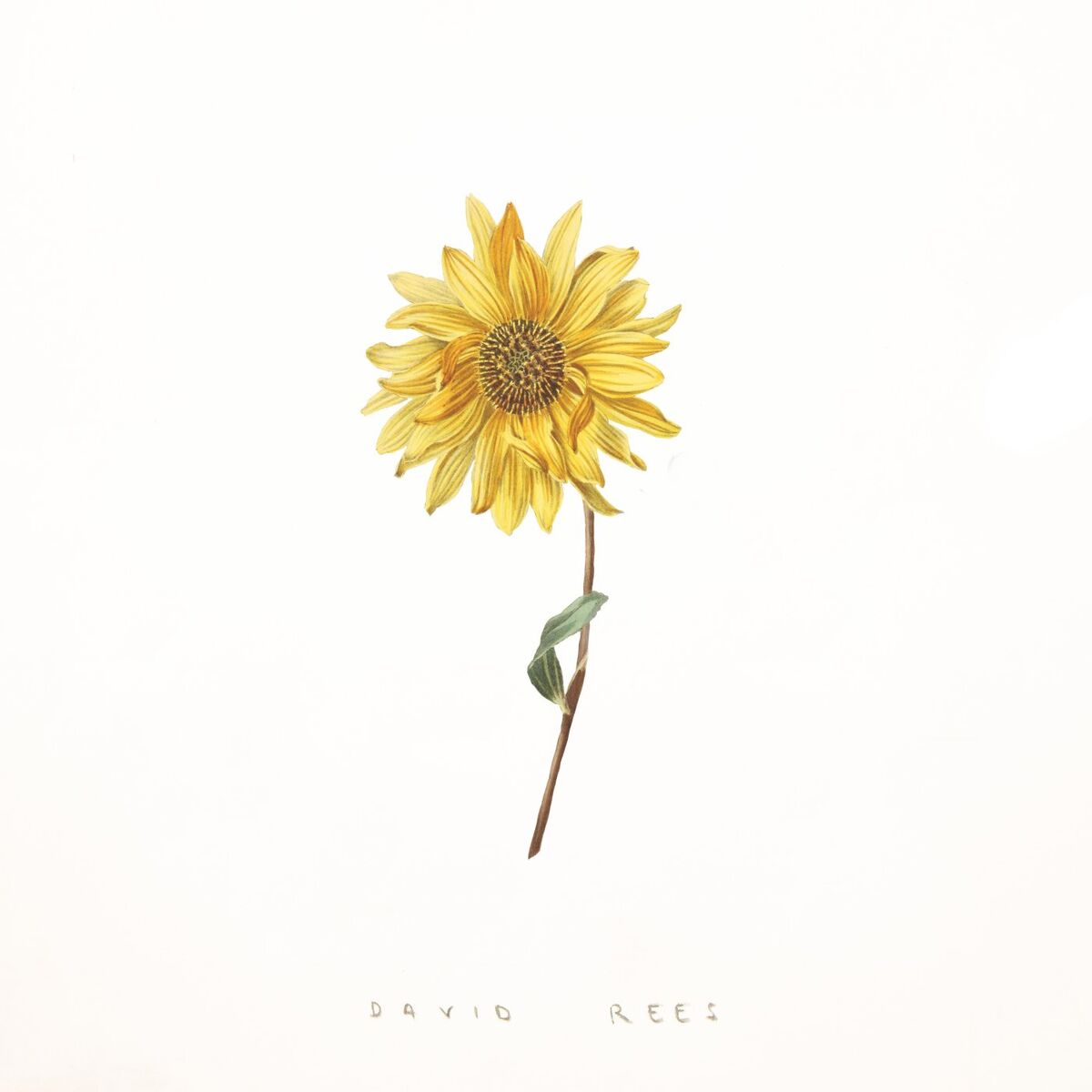 Album cover of Girasol