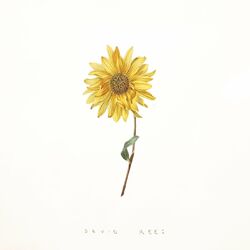 music cover