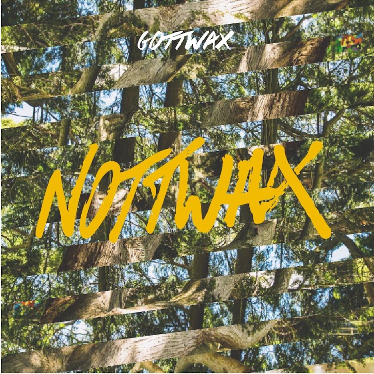 Album cover of Gottwax Present: Nottwax 01 - A Gottwood Compilation