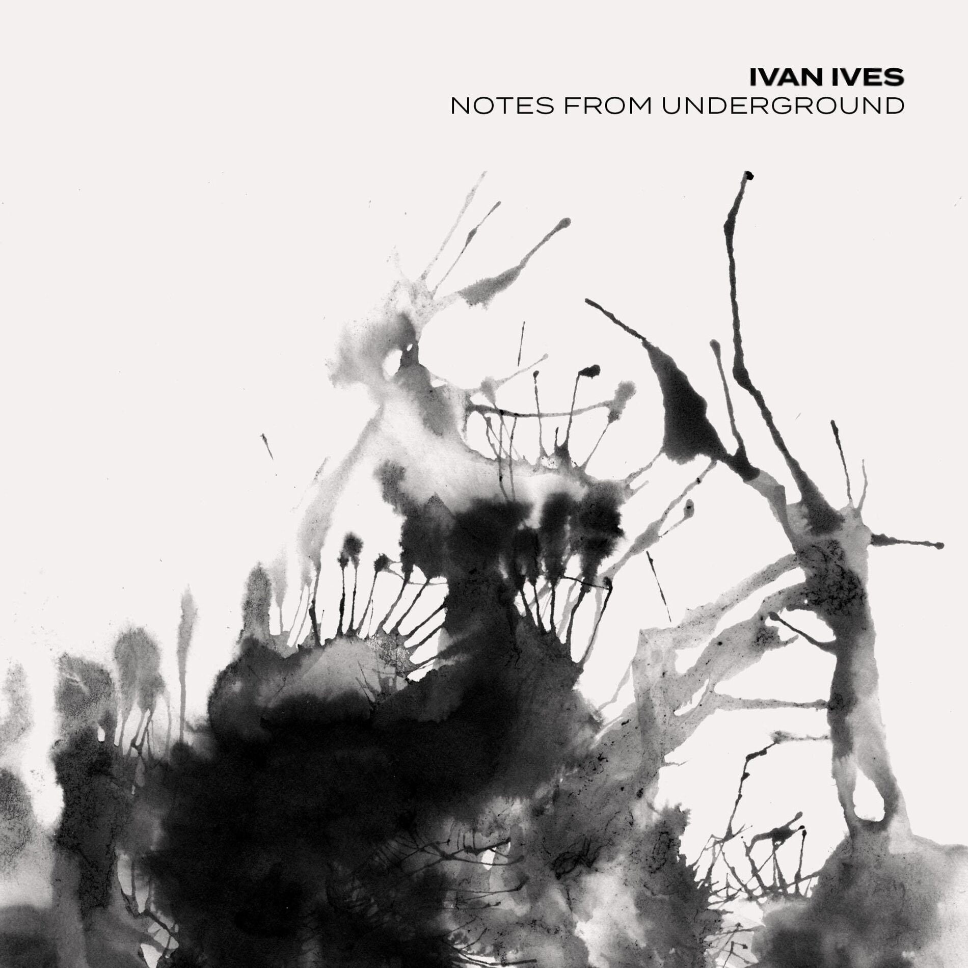 Album cover of Notes from Underground