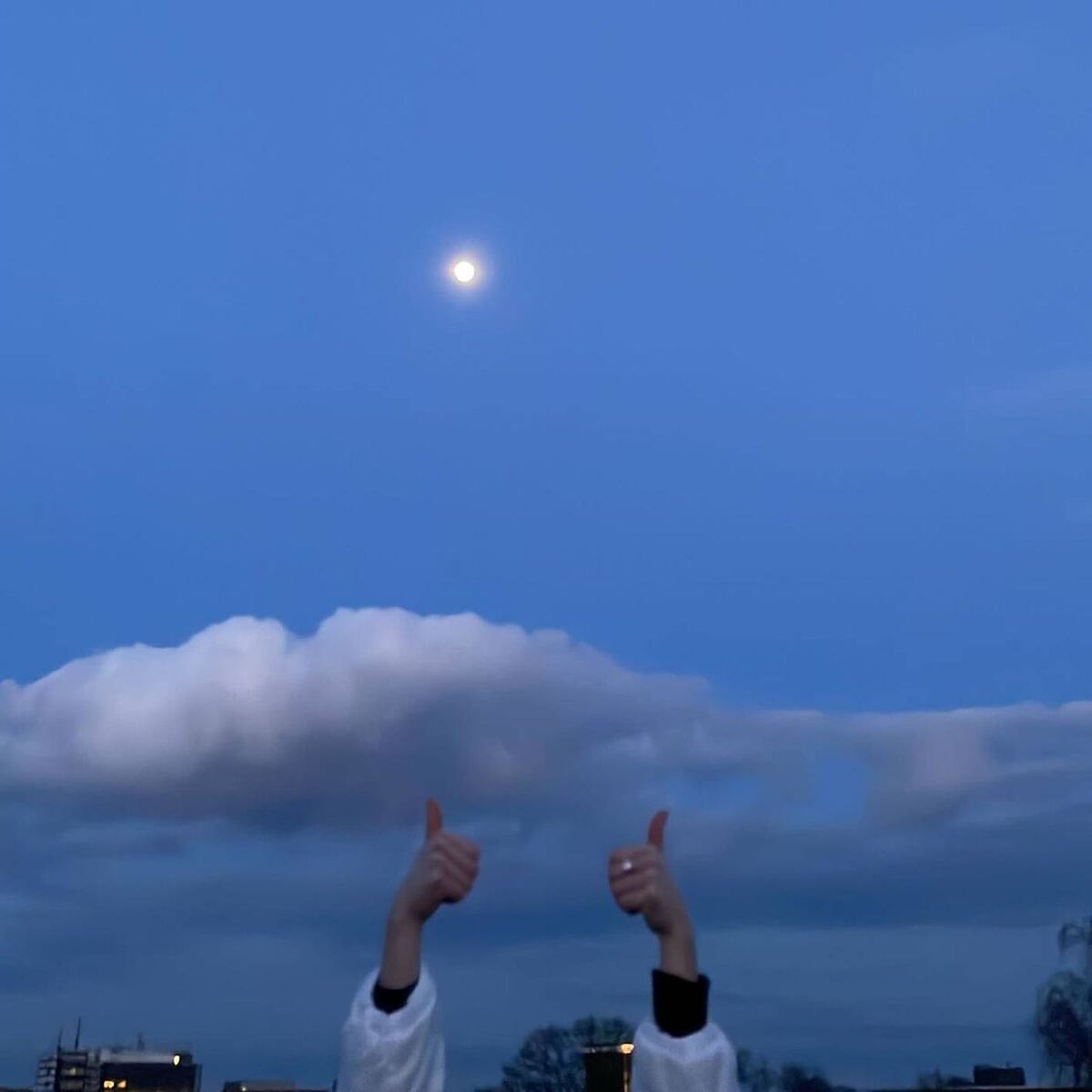 Album cover of Moonlight