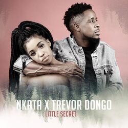 Cover of Little Secret