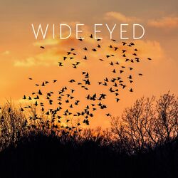 Cover of First Light