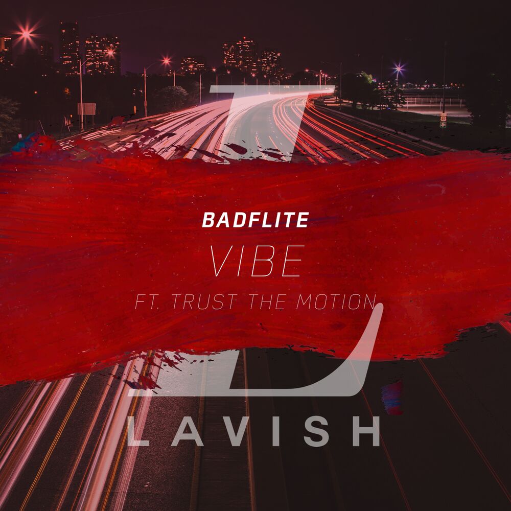 Picture of Vibe (feat. Trust the Motion)