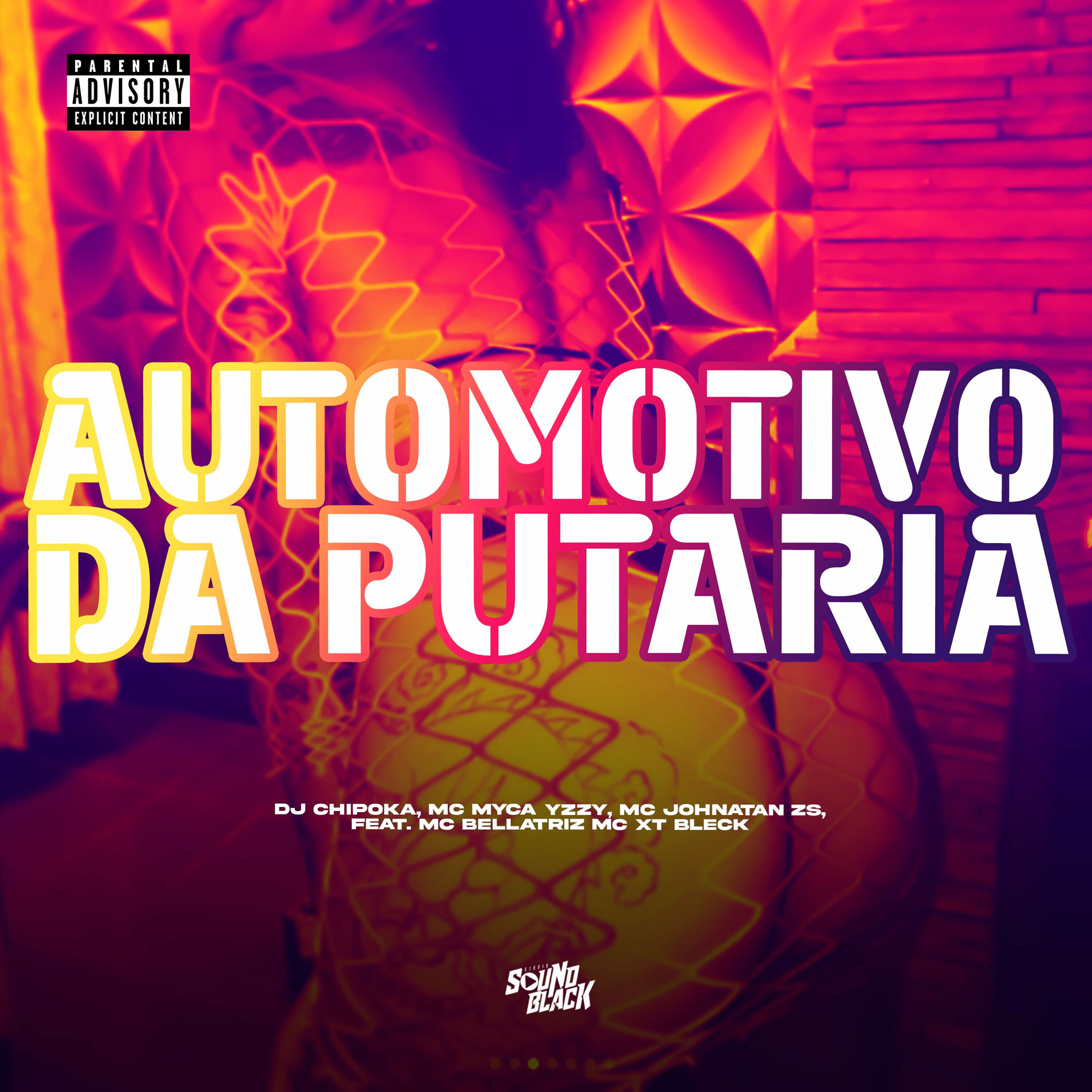 Album cover of Automotivo da Putaria