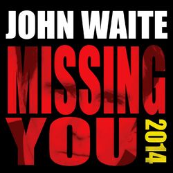 Cover of Missing You