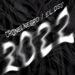 Cover of 2022