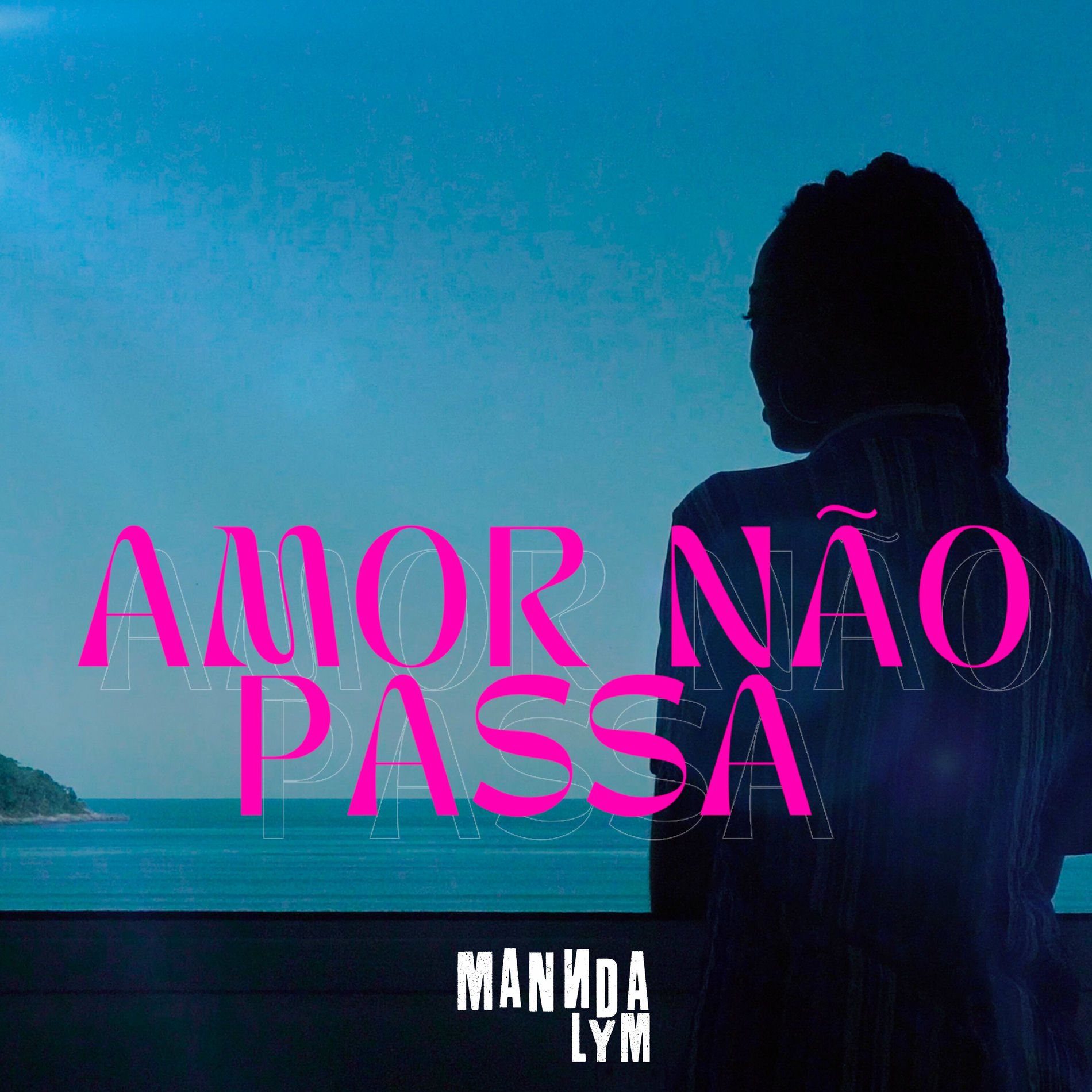Album cover of Amor Não Passa