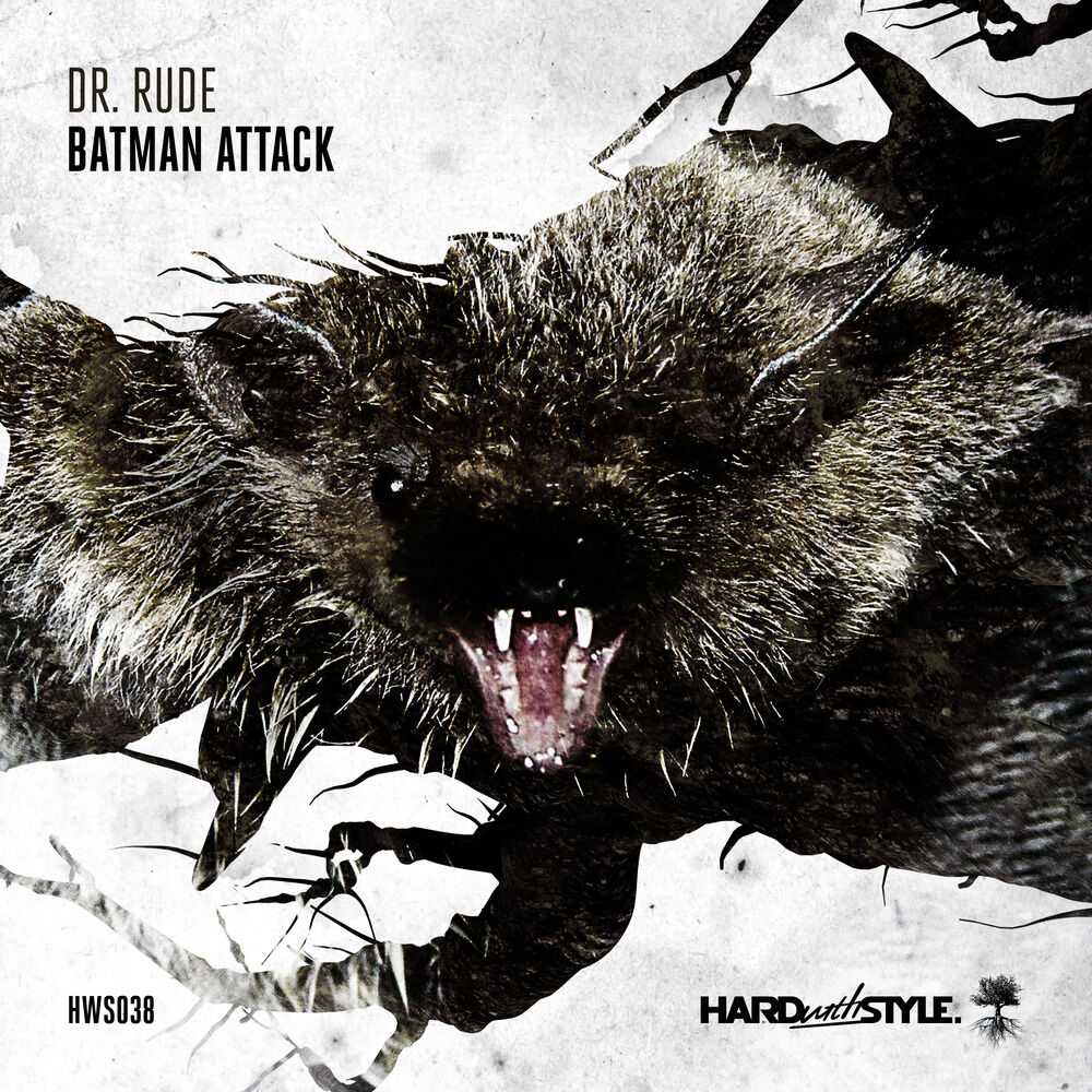 Picture of Batman Attack