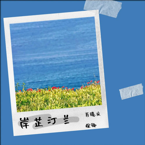 岸芷汀兰 (男女二重唱版)