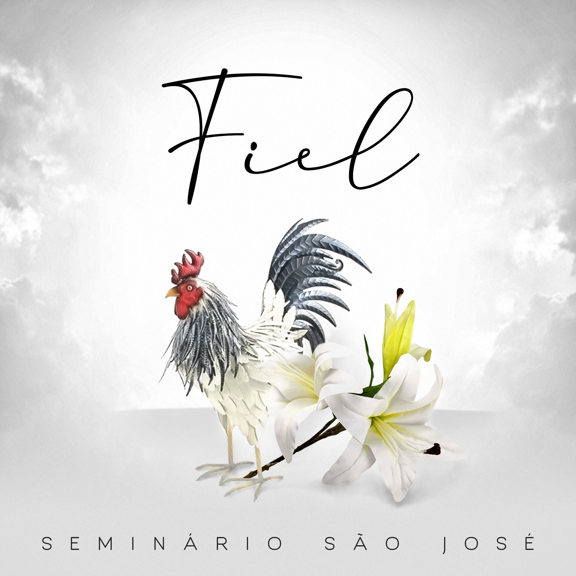 Album cover of Fiel