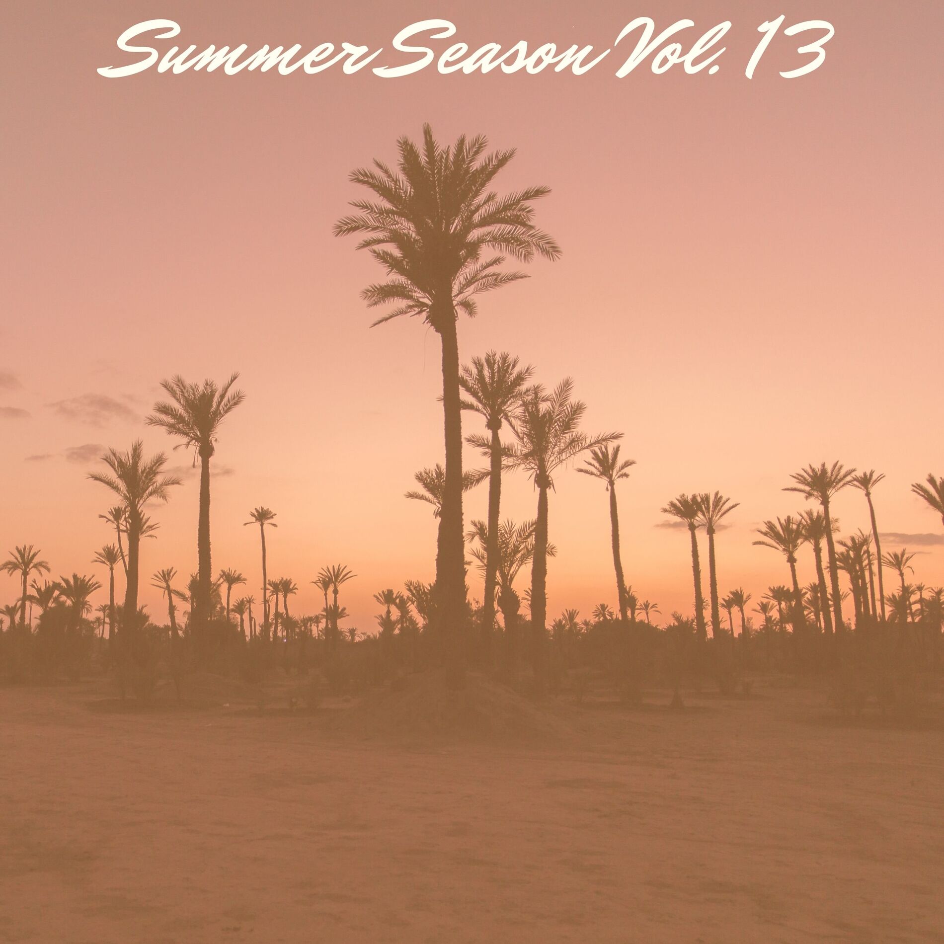 Album cover of Summer Season Vol. 13