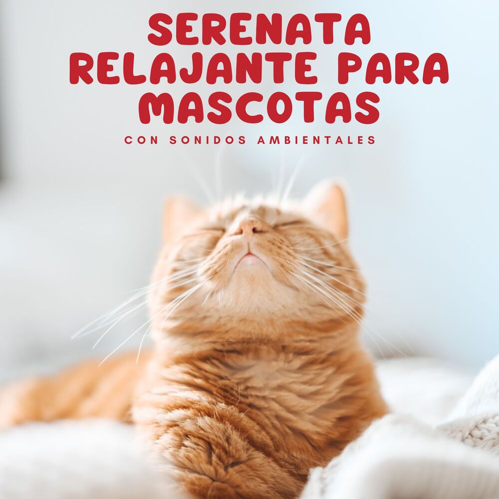 Picture of Serenata Relajante Para Mascotas Con Sonidos Ambientales