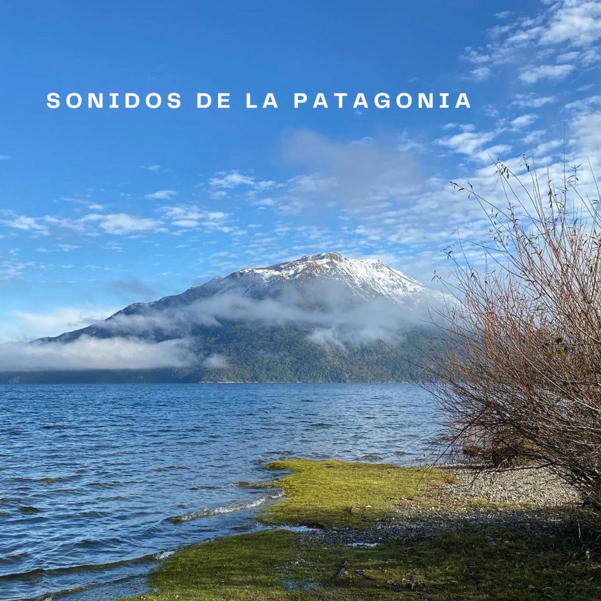 Album cover of Sonidos de la Patagonia