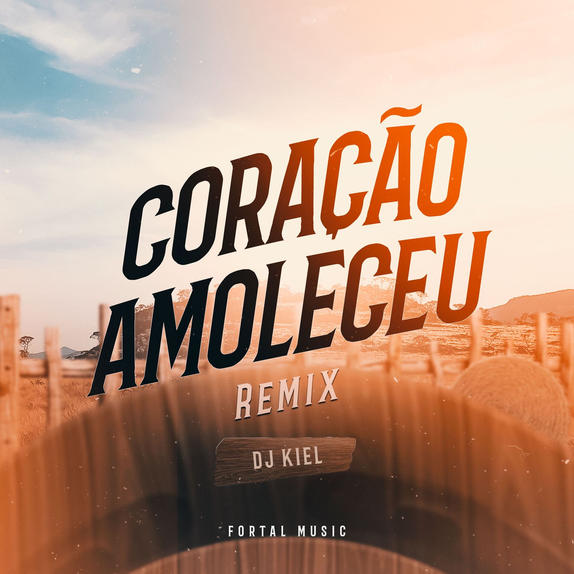 Album cover of Coração Amoleceu (Remix)