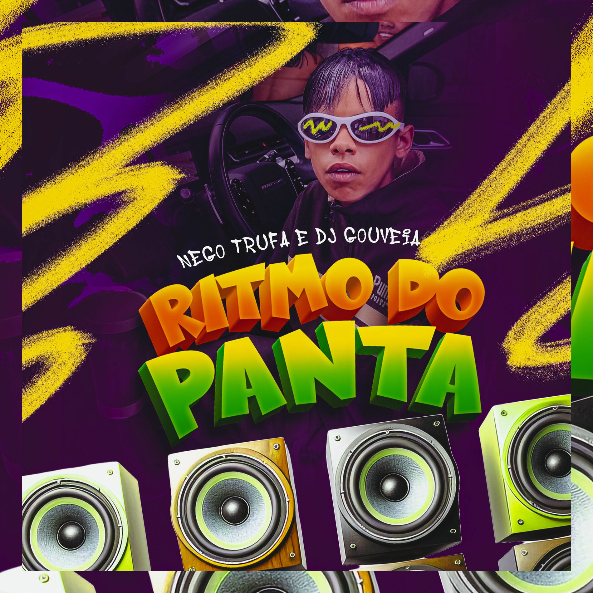 Album cover of Ritmo do Panta