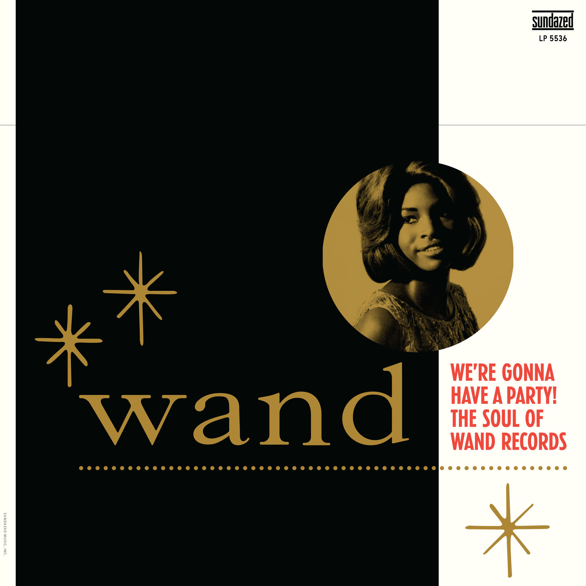 Album cover of We're Gonna Have A Party!
