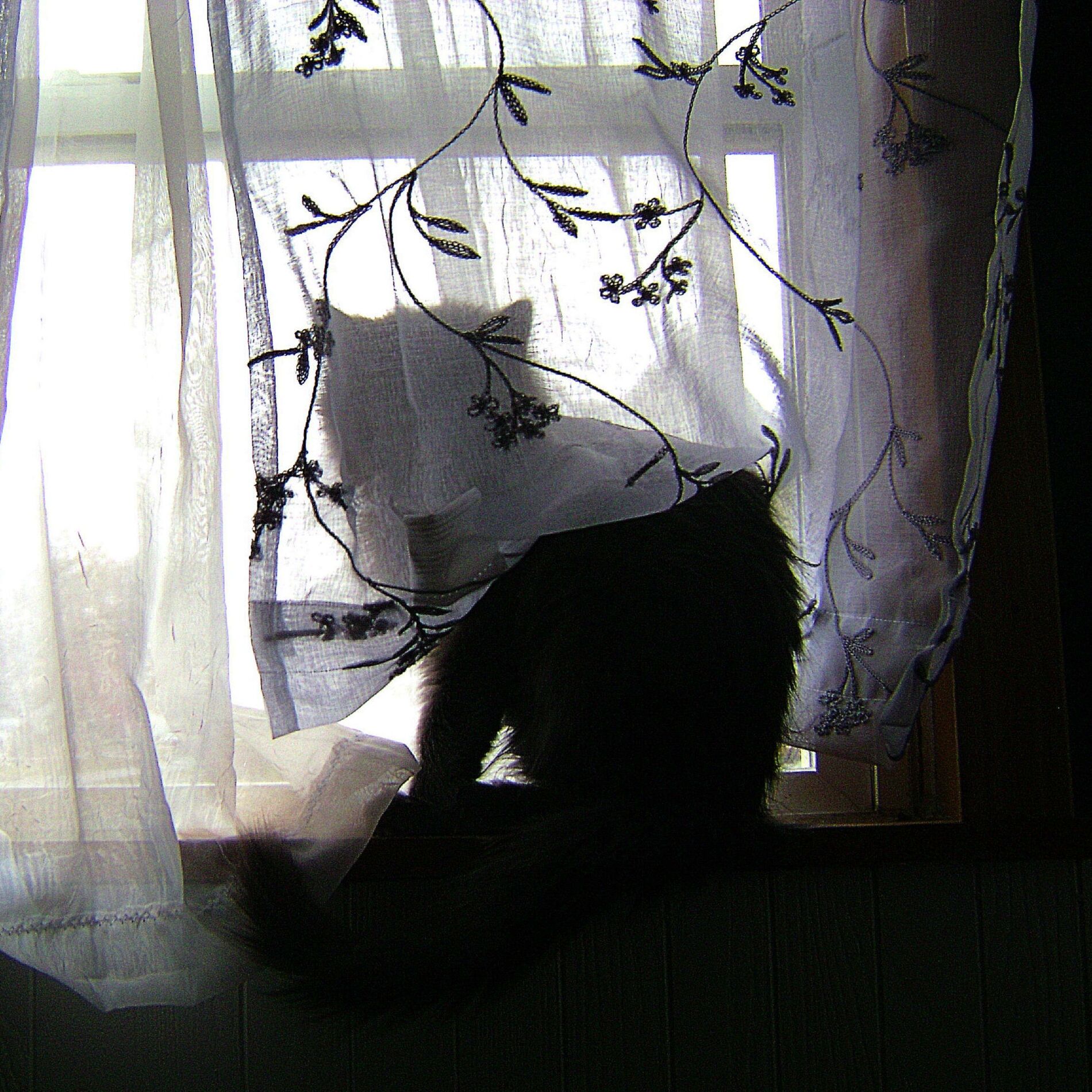 Album cover of time (feat. flesh)