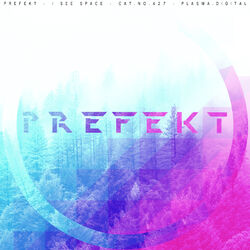 Cover of I See Space