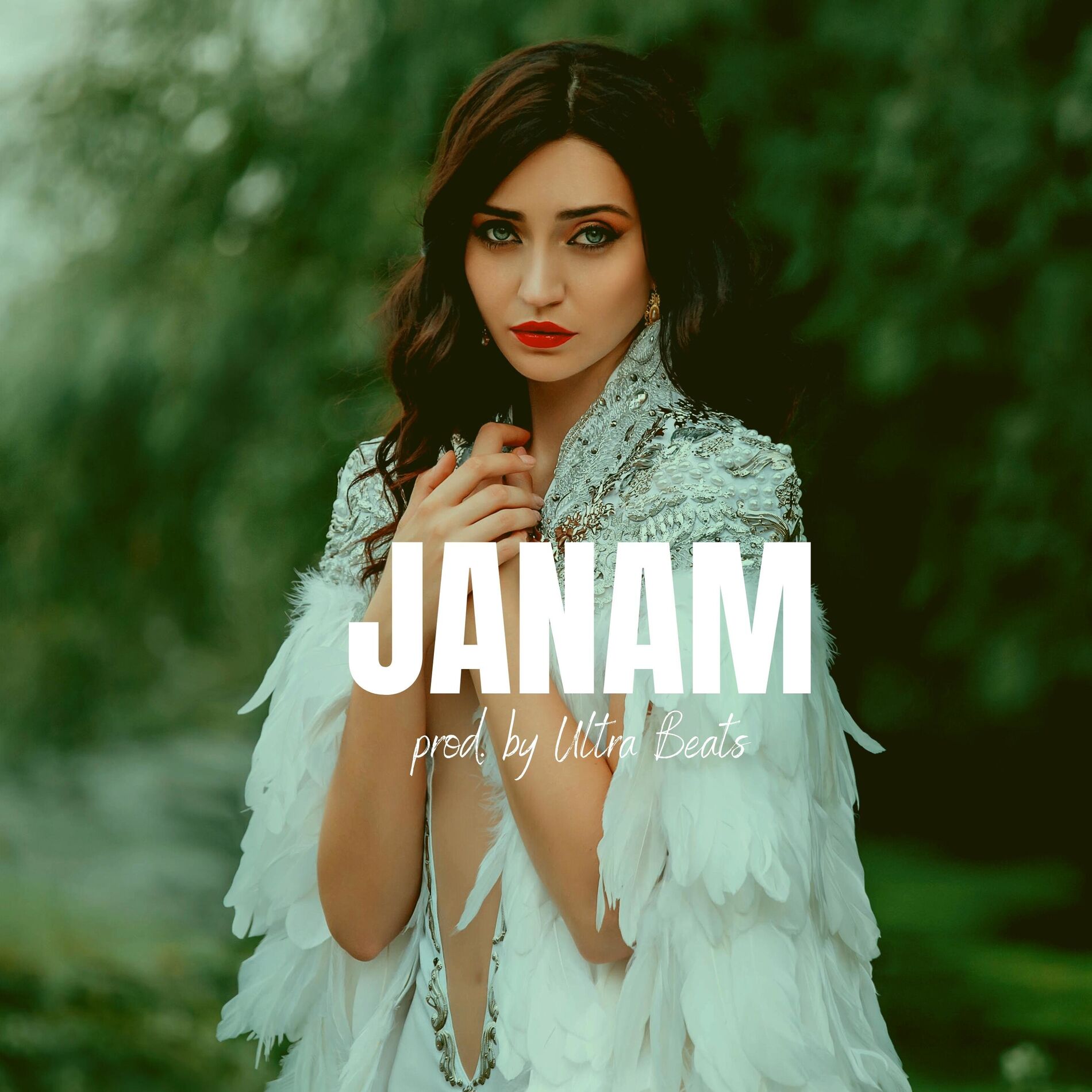Album cover of Janam (Instrumental)