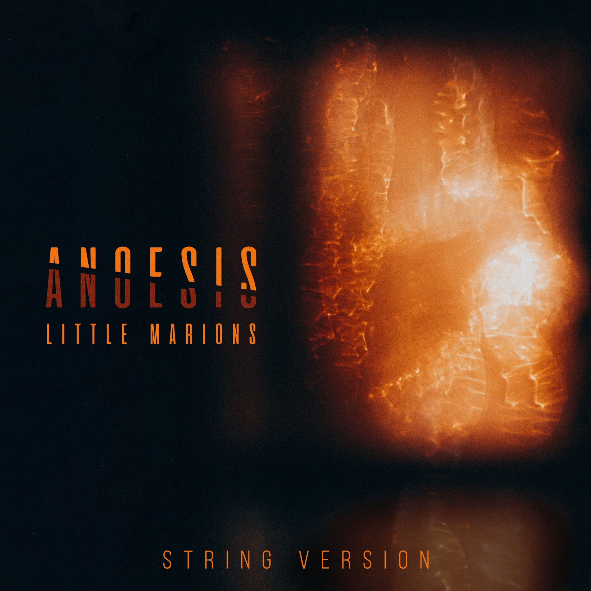 Album cover of Anoesis (String Version)