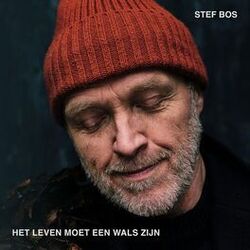 Het leven moet een wals zijn