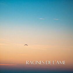 Cover of Racines de l'ame: S'ancrer dans la vérité et l'acceptation