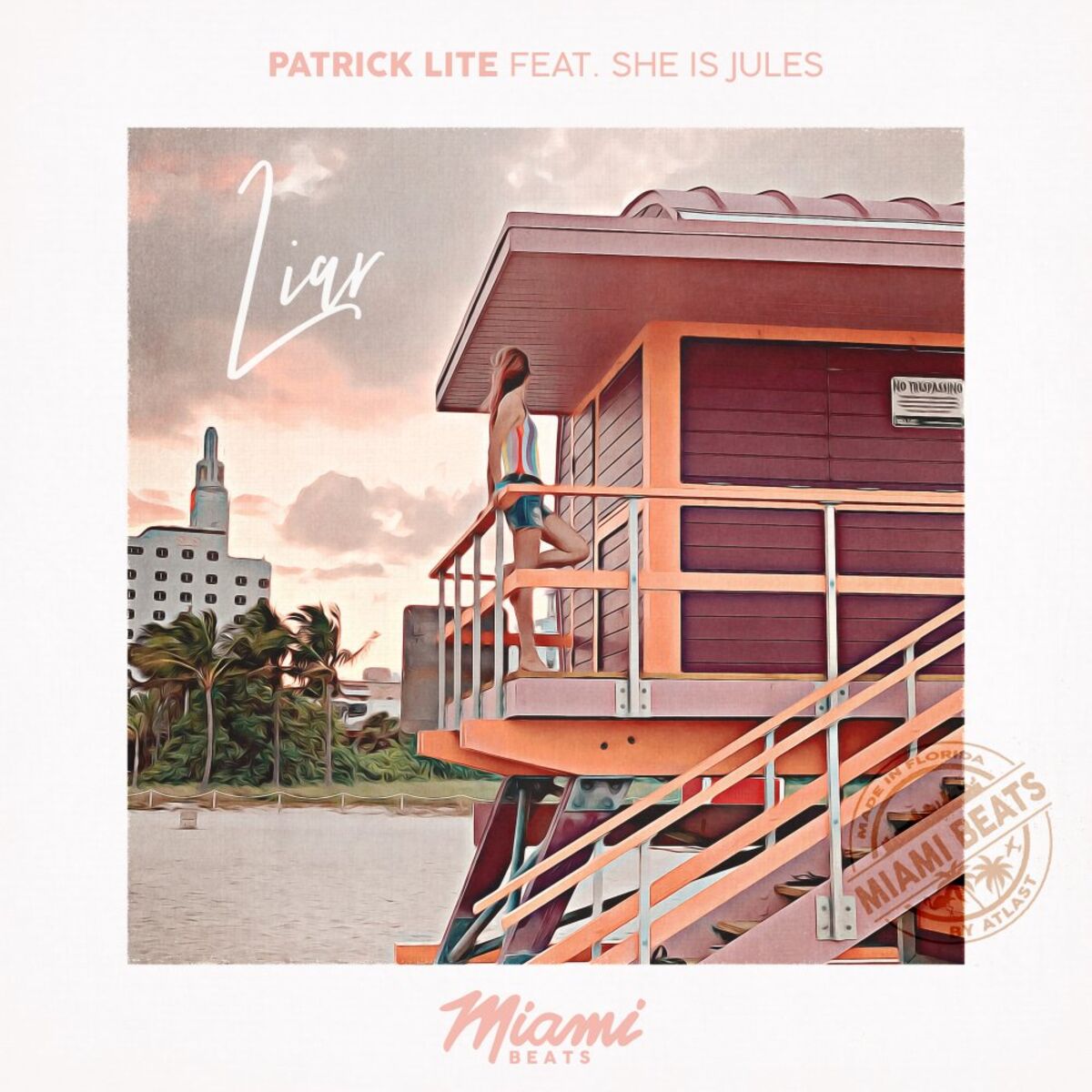Album cover of Liar