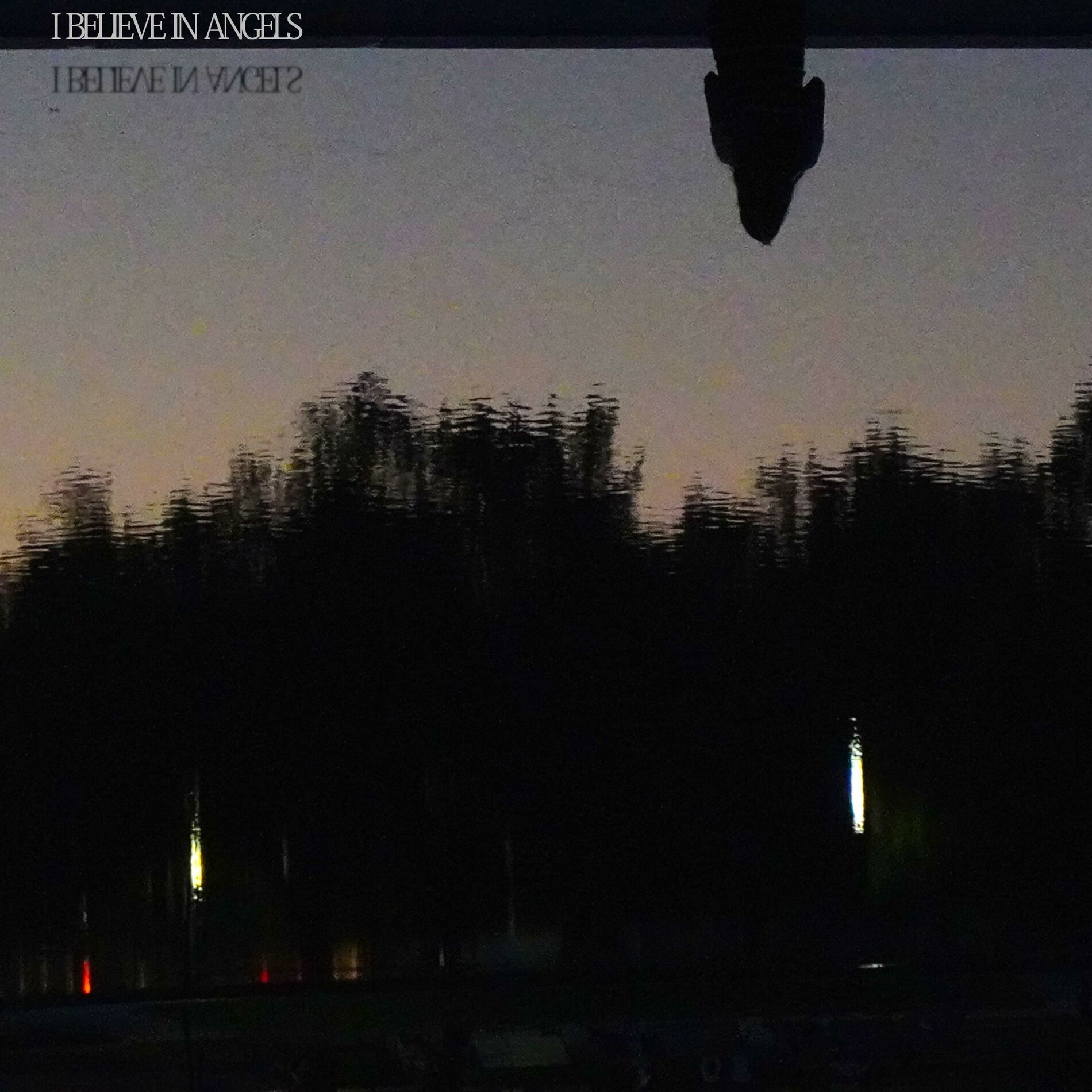 Album cover of I BELIEVE IN ANGELS