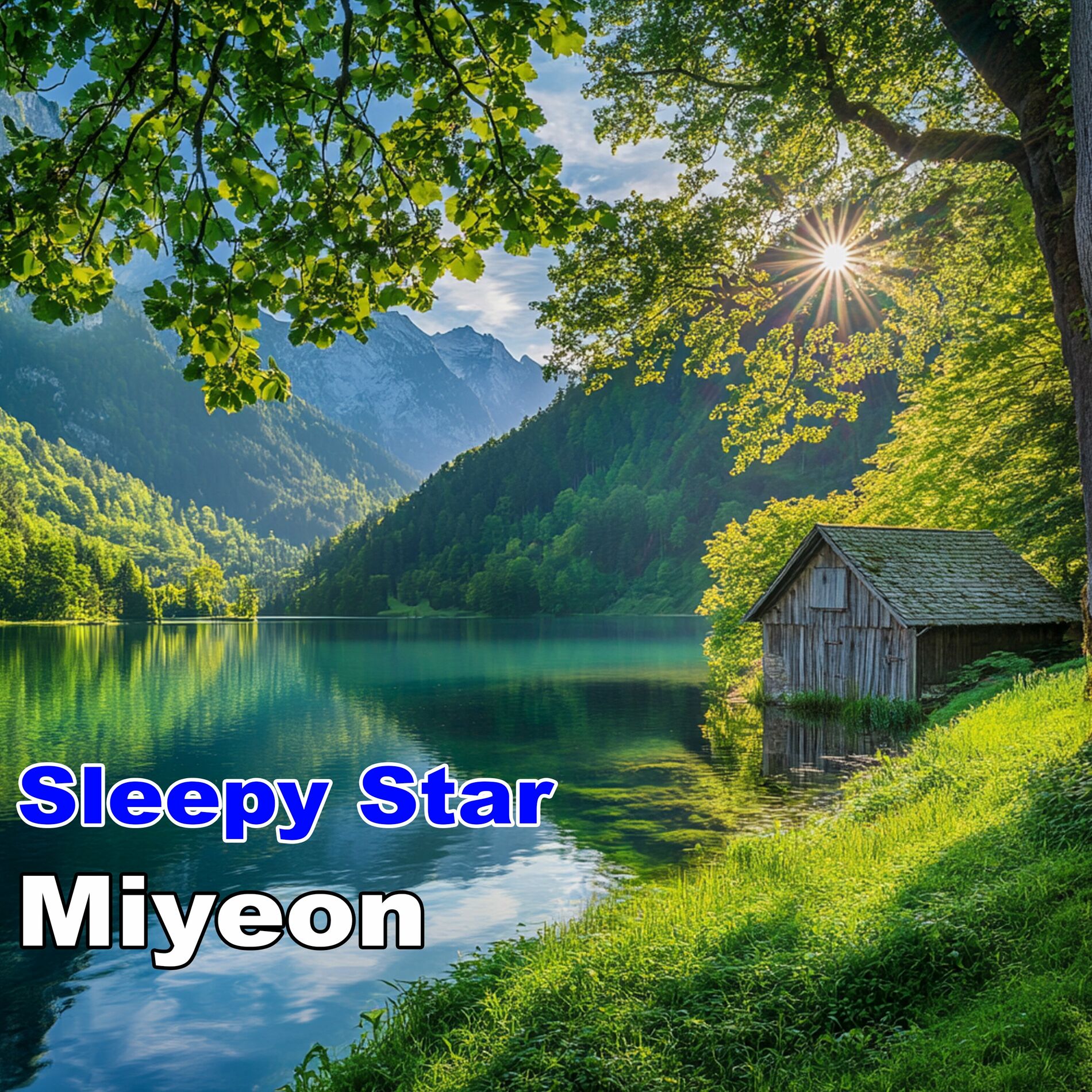 Album cover of Sleepy Star