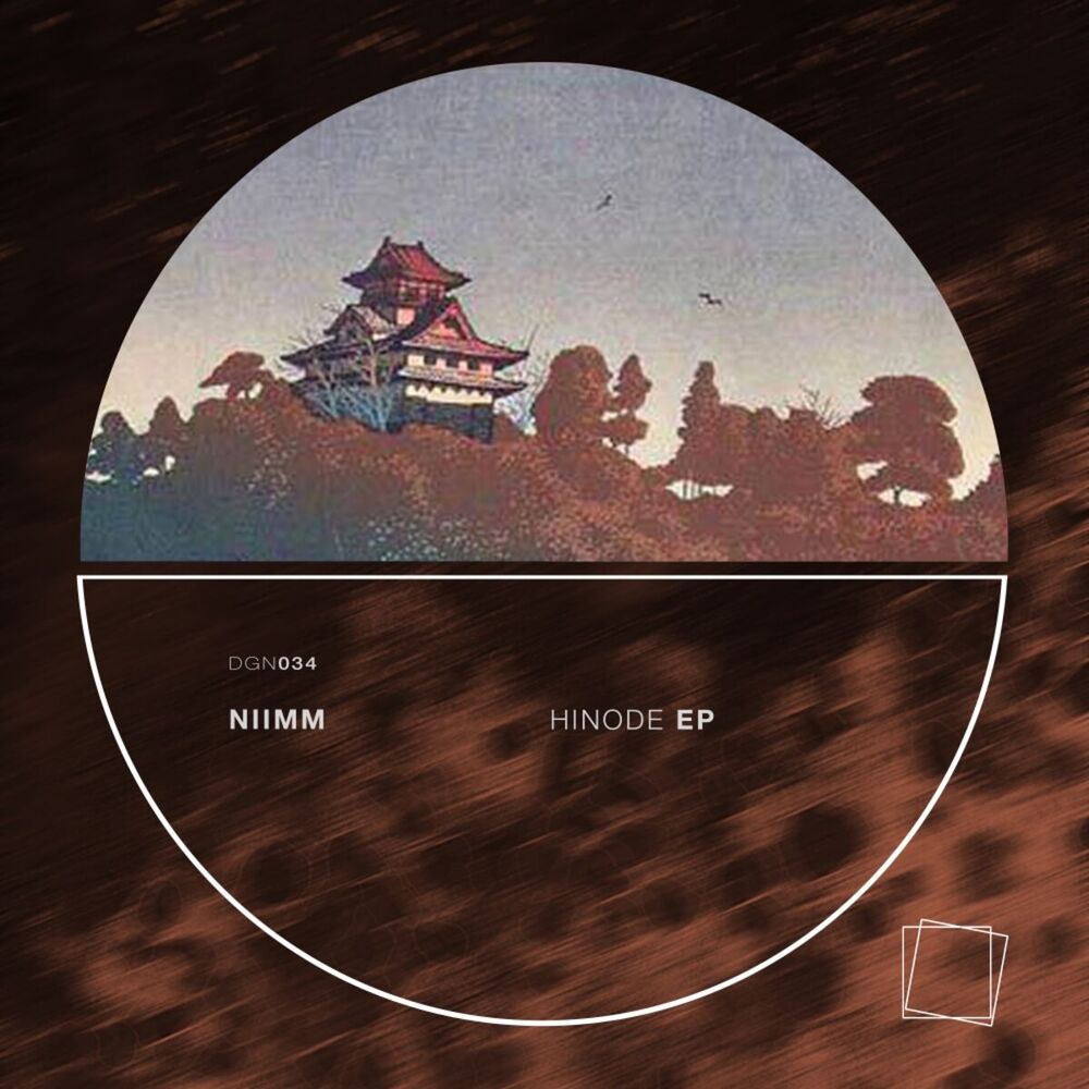 Picture of Hinode