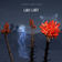 Lucky Lucky by Avi Snow album cover