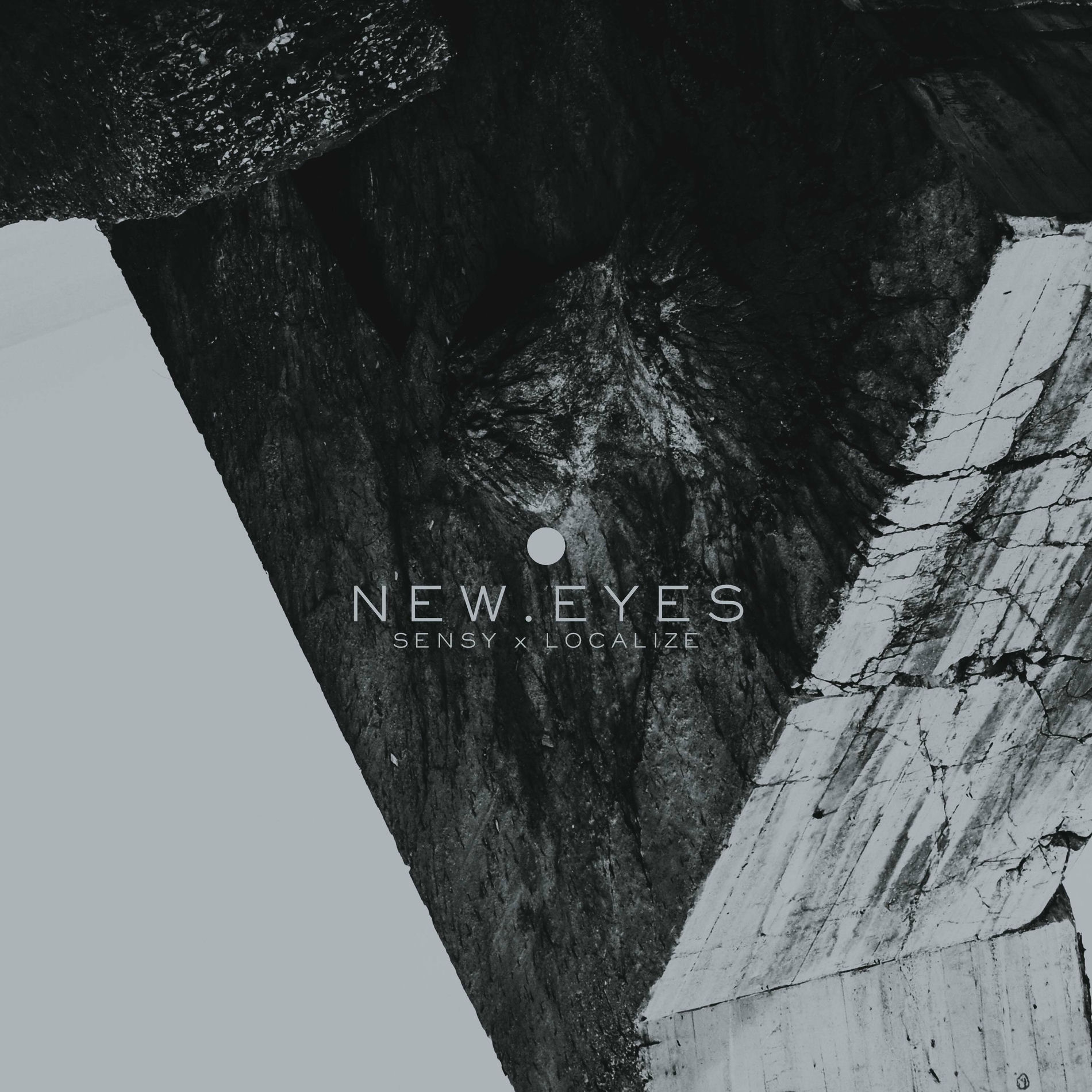 Album cover of NEW'EYES