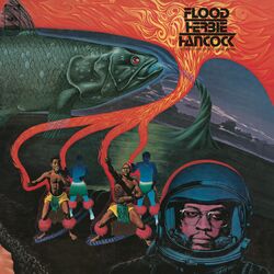 Cover of Flood (Live in Tokyo - 1975)