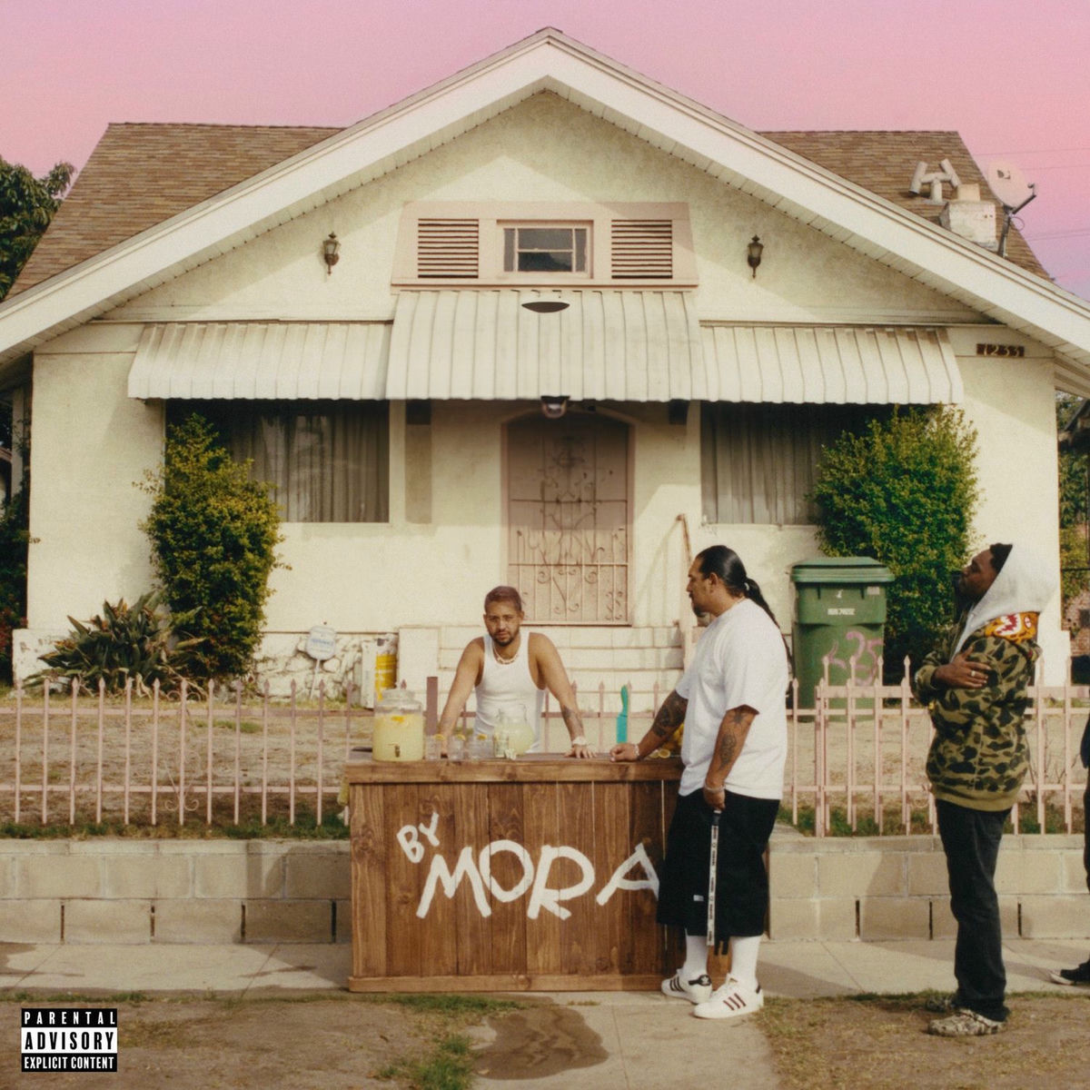 Album picture of MICRODOSIS