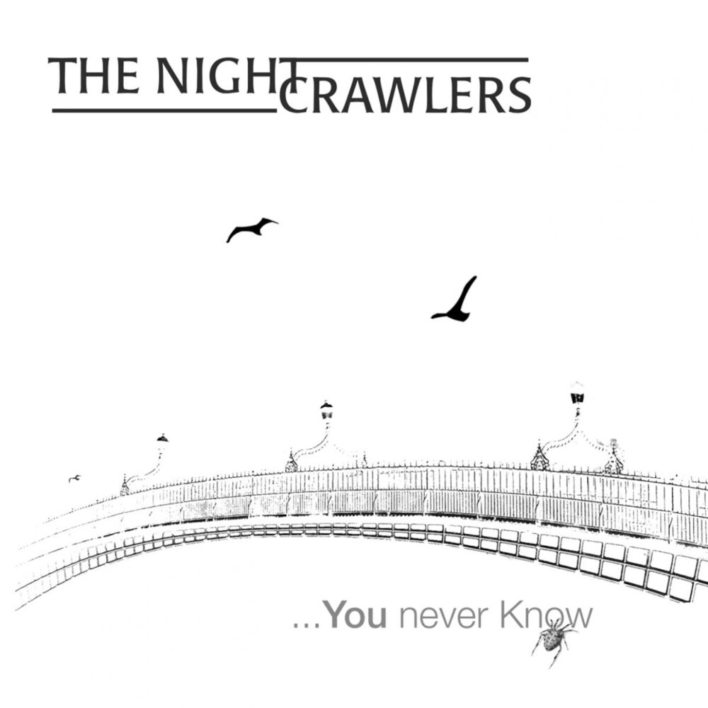 Picture of ...You Never Know