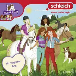Cover of Folge 24: Ein magischer Ring