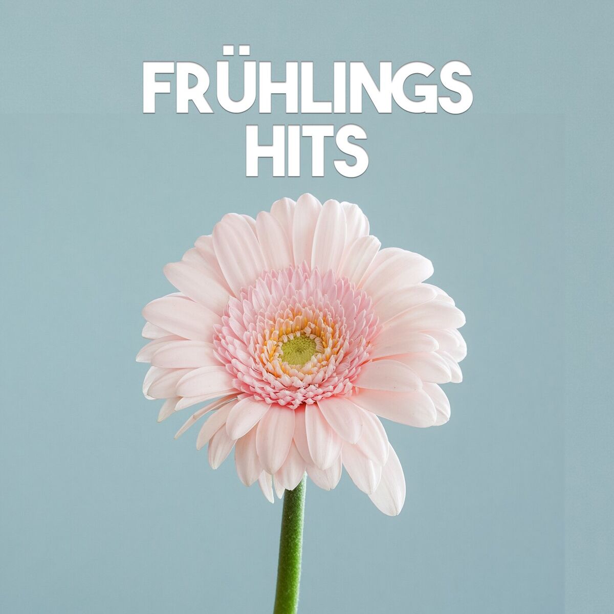 Album cover of Frühlings Hits