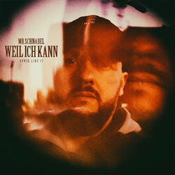 Cover of Weil ich kann